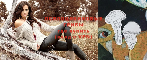 экстази Богданович