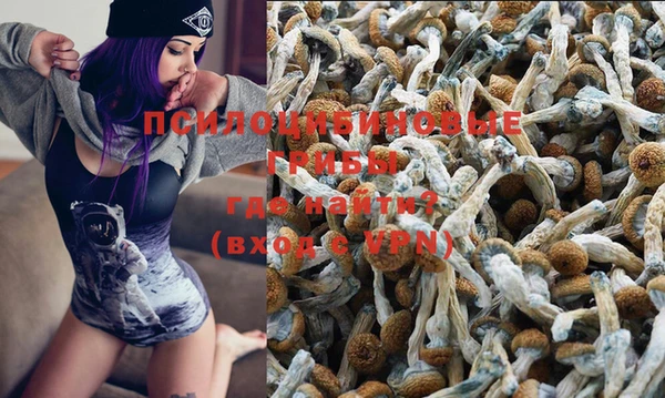 экстази Богданович