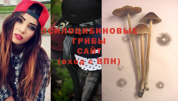 не бодяженный Богородск