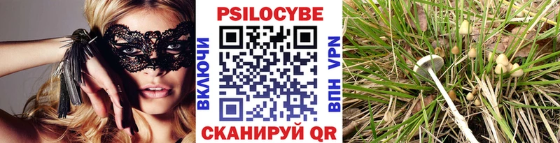 Псилоцибиновые грибы прущие грибы  kraken вход  Юрюзань 